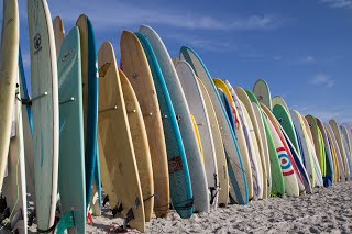 Price of Shredding Services in Honolulu